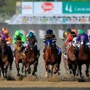 Meet your Posher, Adam